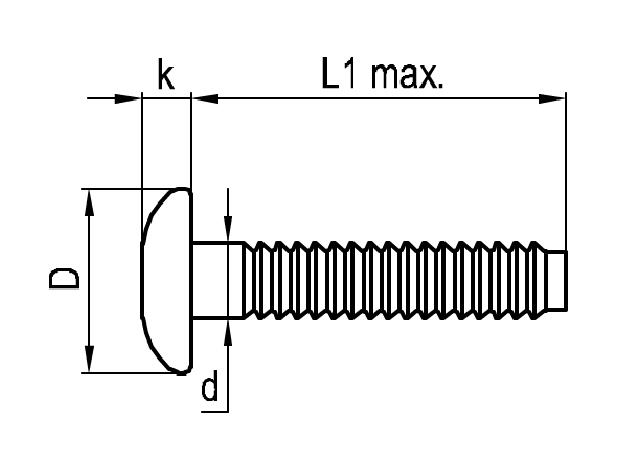 d = 5 (mm); D = 10.1 (mm); L1 = 48 (mm); s = 1,5 - 16,0 (mm); 